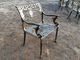 Französisches Art-Roheisen außerhalb der Tabelle und der Stuhl-antiken Bronze für Park